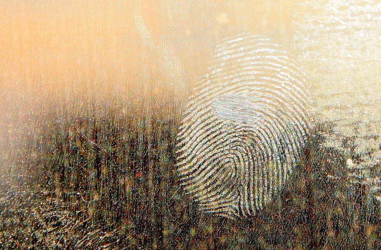 Análise de impressão digital feita por perito criminal em investigação
